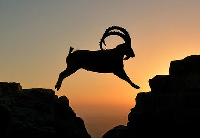 Die Wüste bei Nacht